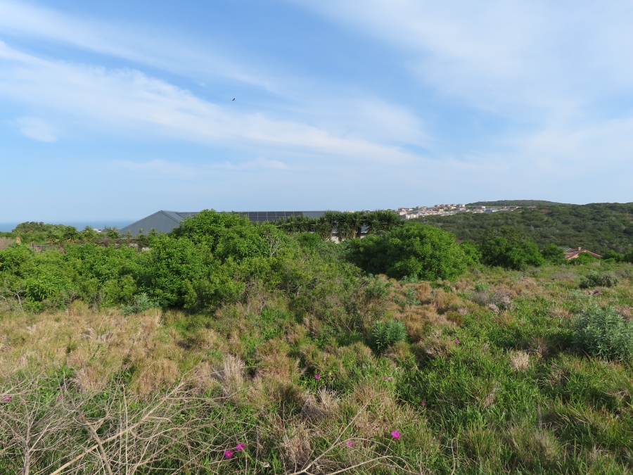 0 Bedroom Property for Sale in Forest Downs Eastern Cape